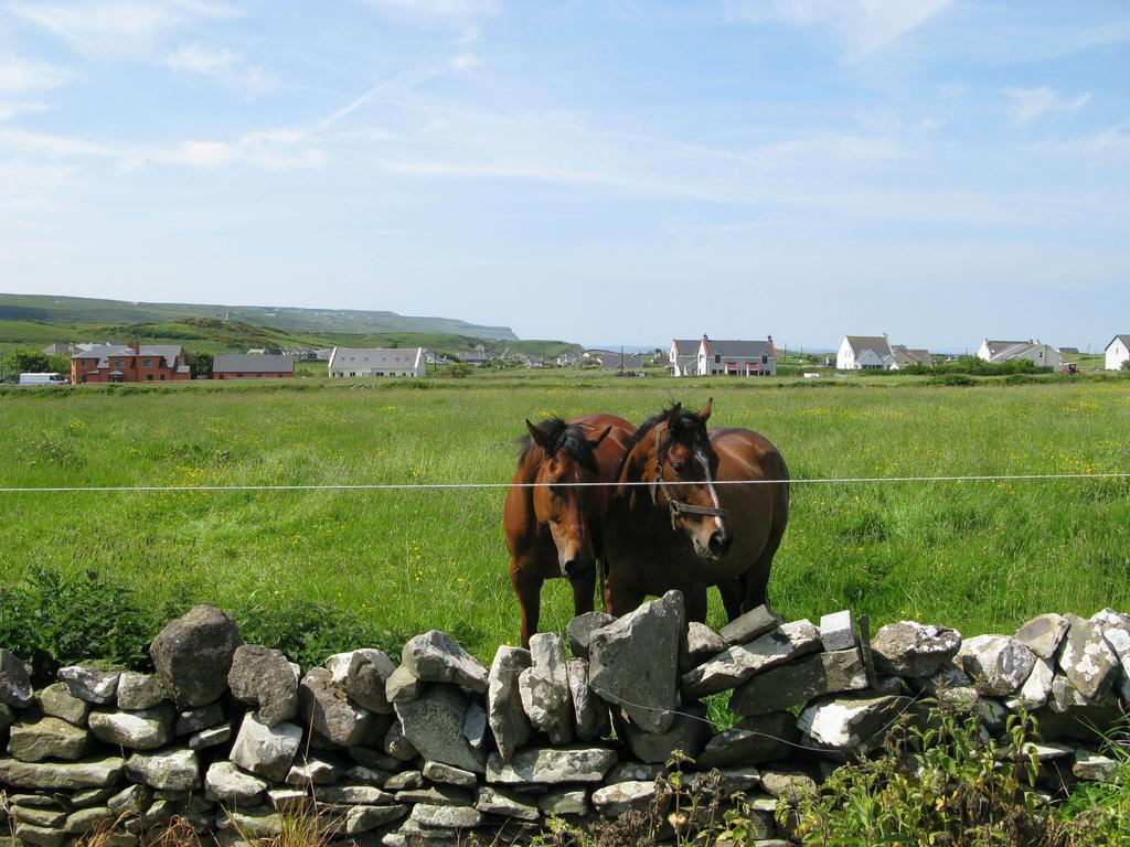 Nellie Dee'S Bed & Breakfast Doolin Eksteriør bilde